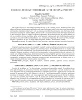 Ensuring the Right to Defense in the Criminal Process